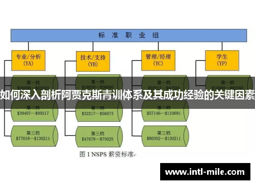 如何深入剖析阿贾克斯青训体系及其成功经验的关键因素