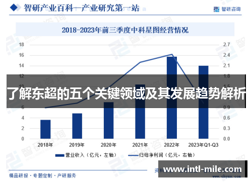 了解东超的五个关键领域及其发展趋势解析